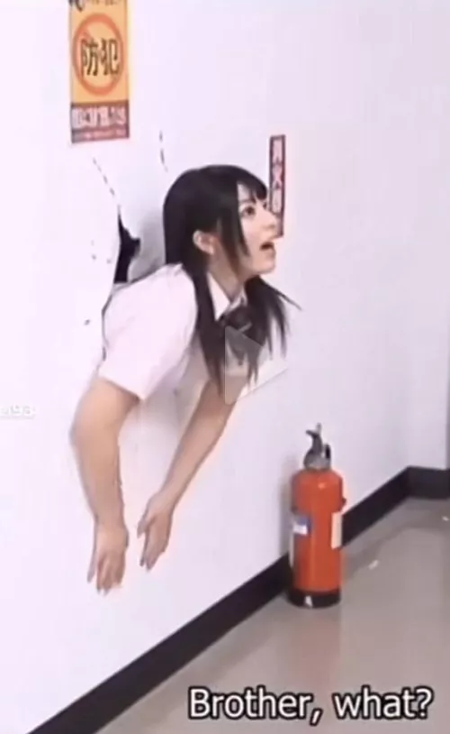 Please help, need the code for this… Thanks by DM_z0n3