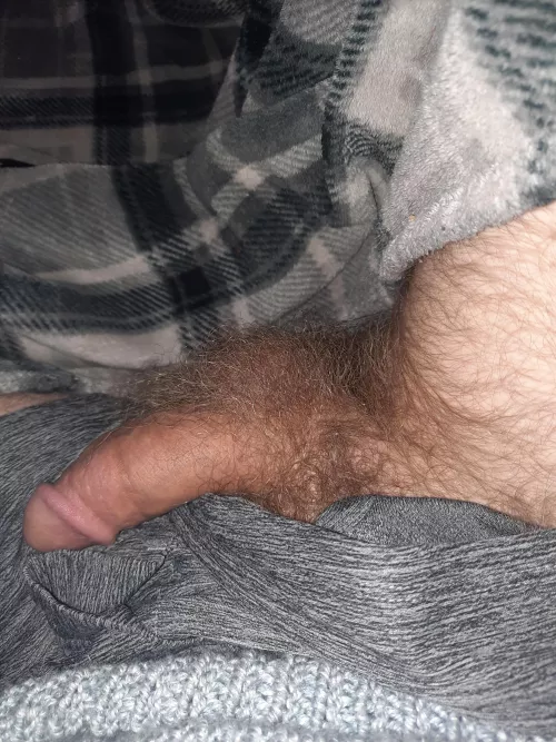 Shout out to my ex who said being hairy is a turn off. Absolute nonsense. by hairylover3