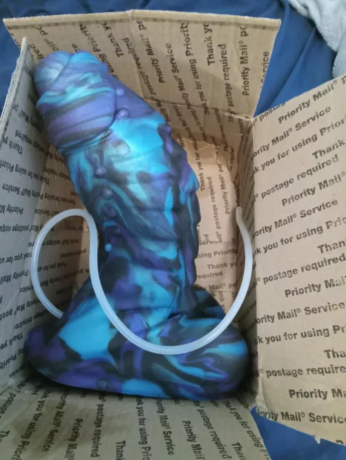 Succesful rehoming xl flint from u/Zaphora13 by Ok_Use_90