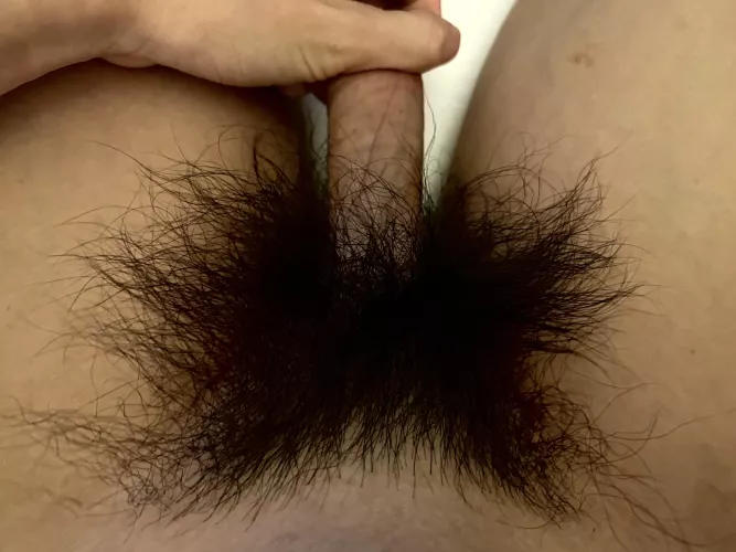 These pubes are getting so long!!! by HairyWildBush
