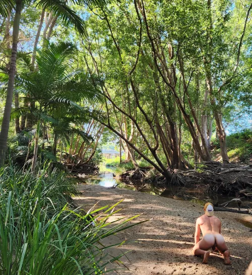 Waiting for Tarzan to swing by by mercurian_atropine