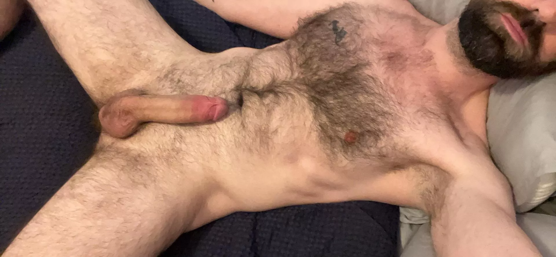 What would you like to do with me? posted by JuddStevensOF