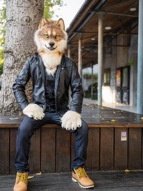 Woof woof(twitter:Oga_wolf) by Medical_Price4029