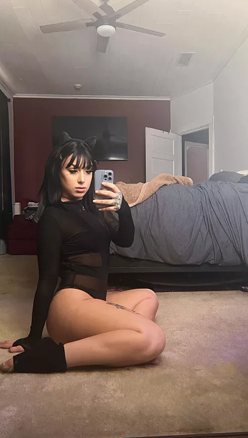 Would you like a slutty kitty for st paddys day? by naznotnice