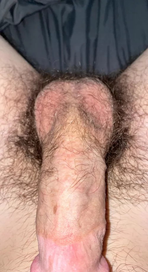 23m looking for a big bro add gay-pics1 by EveningInfluence6049