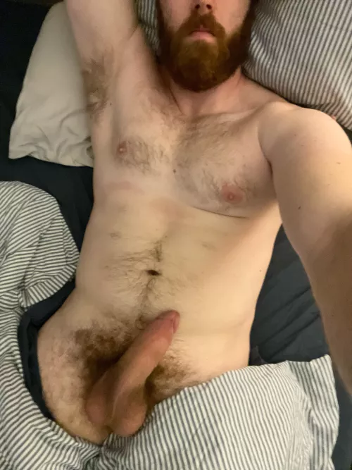 29, 6’5”, bi and all I want is to get my beard covered in someone’s cum. Who can help? by Delicious_Shape8936