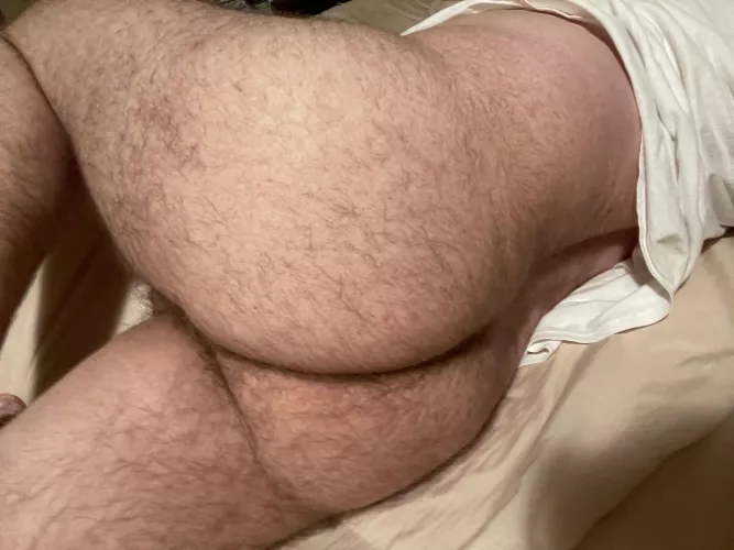 Any hairy guys like hairy ass? by httper30993