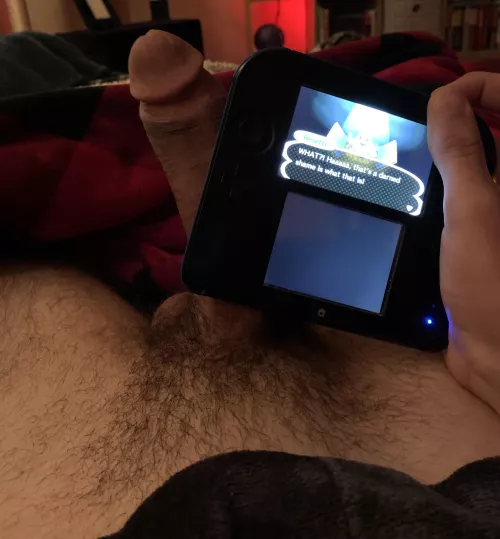 anyone else own a 2DS or am I the only one by xxdixpic