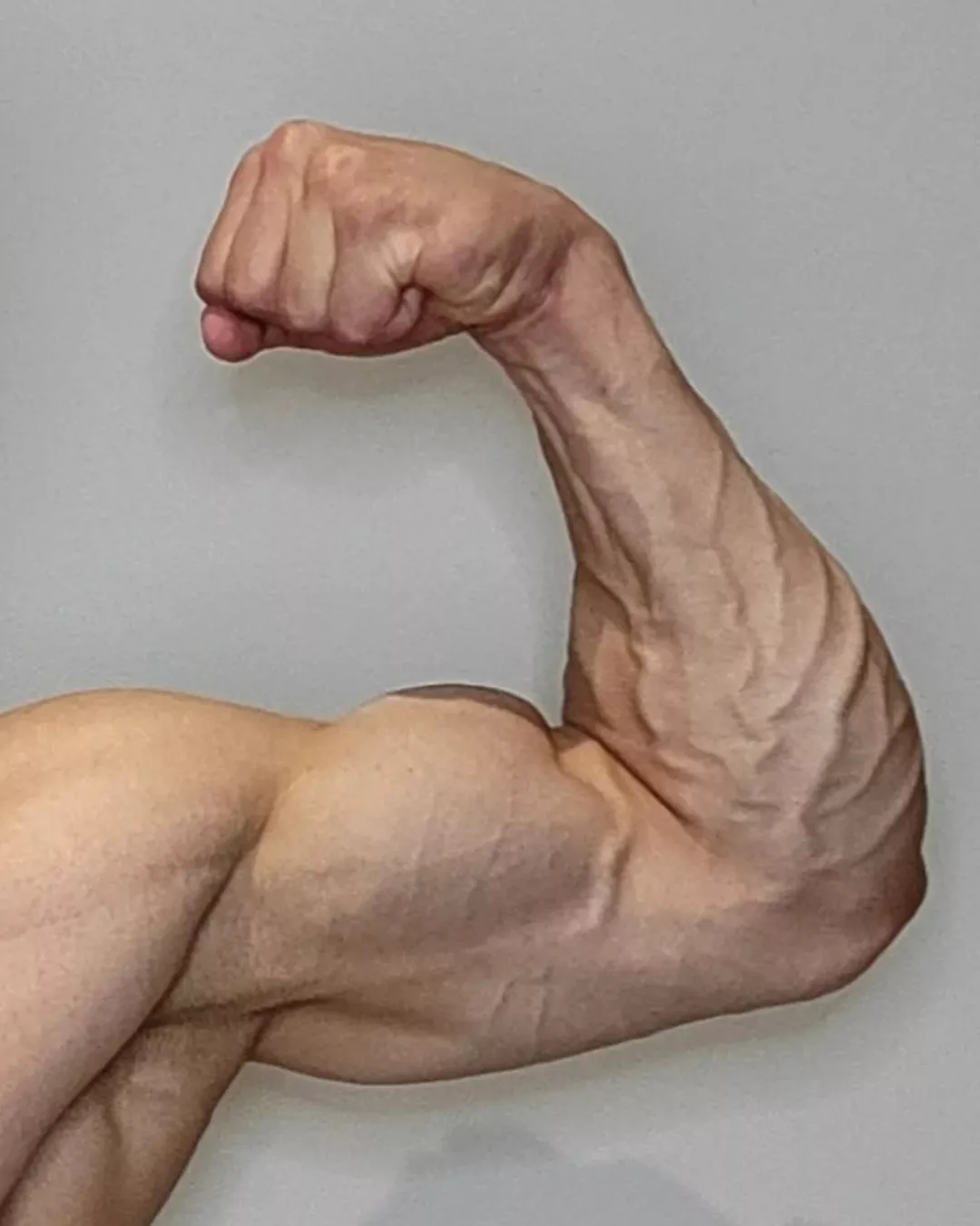Bicep or forearm 💪🏼..? posted by John_fitness91