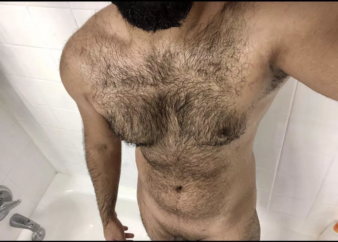 Can I be your fuzzy daddy? posted by FAZJLU