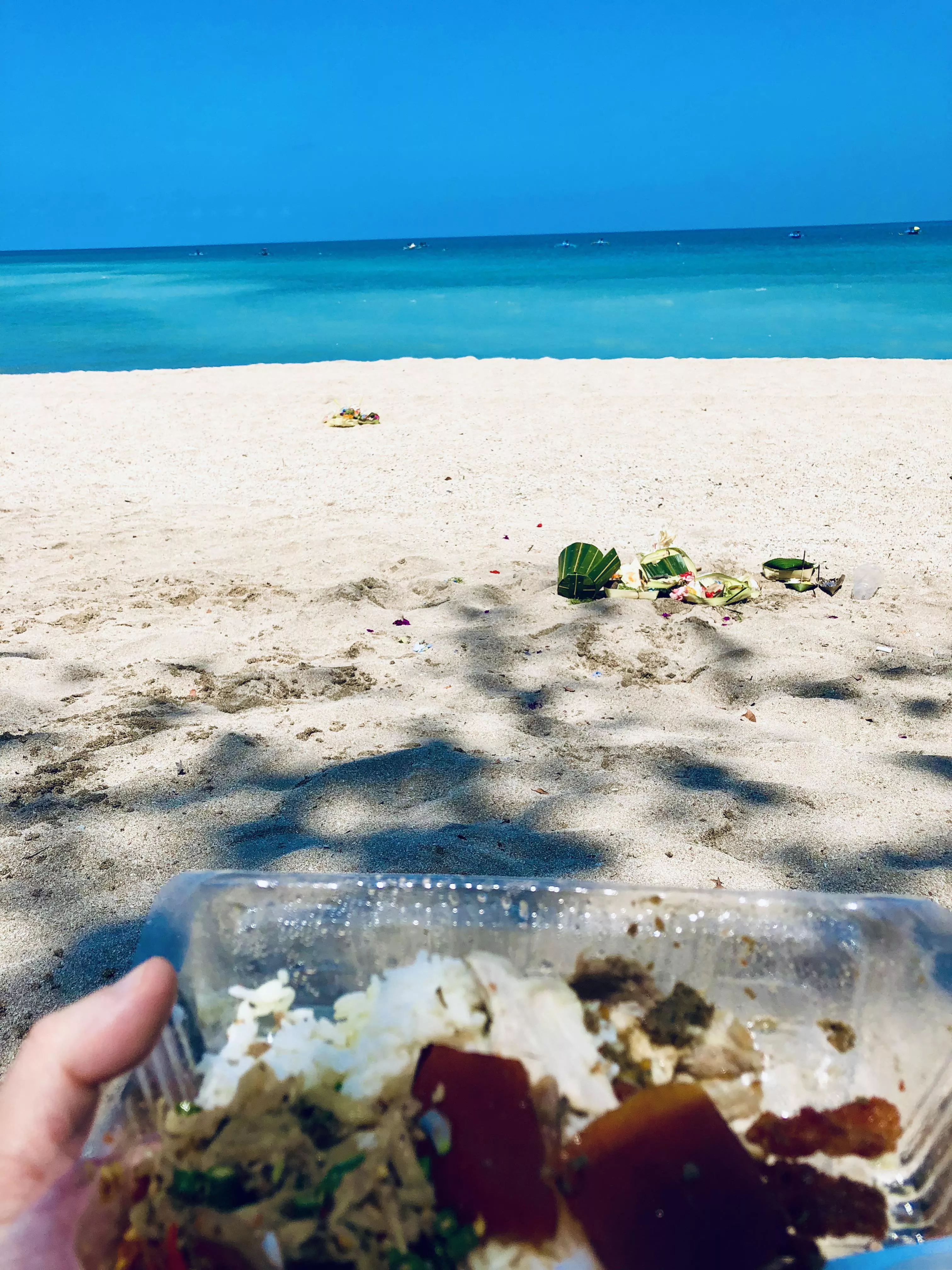 Eating roasted pork in Bali (Babi Guling) posted by samaxe1000