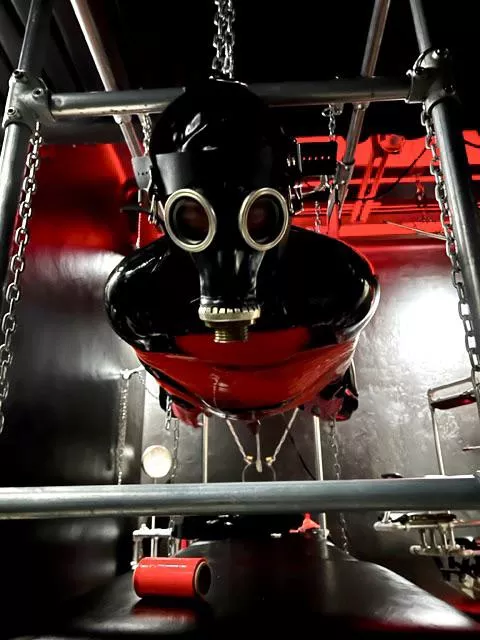 Eye contact posted by LucieArztin