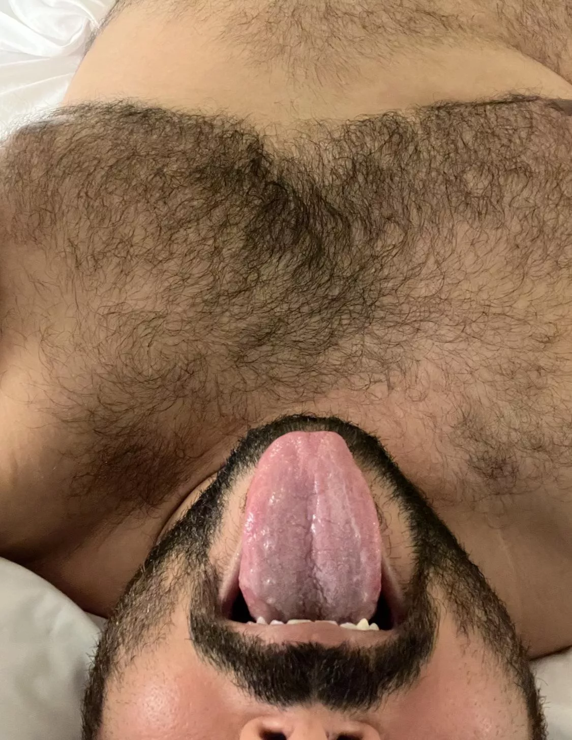 Feel like having my beard soaked this morning. Any ladies want to ride my tongue? posted by No_Drop9796