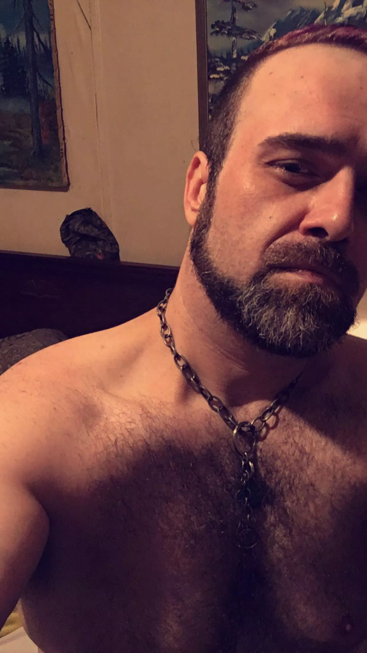 Happy Saturday, y’all ! posted by Bulbaskunk