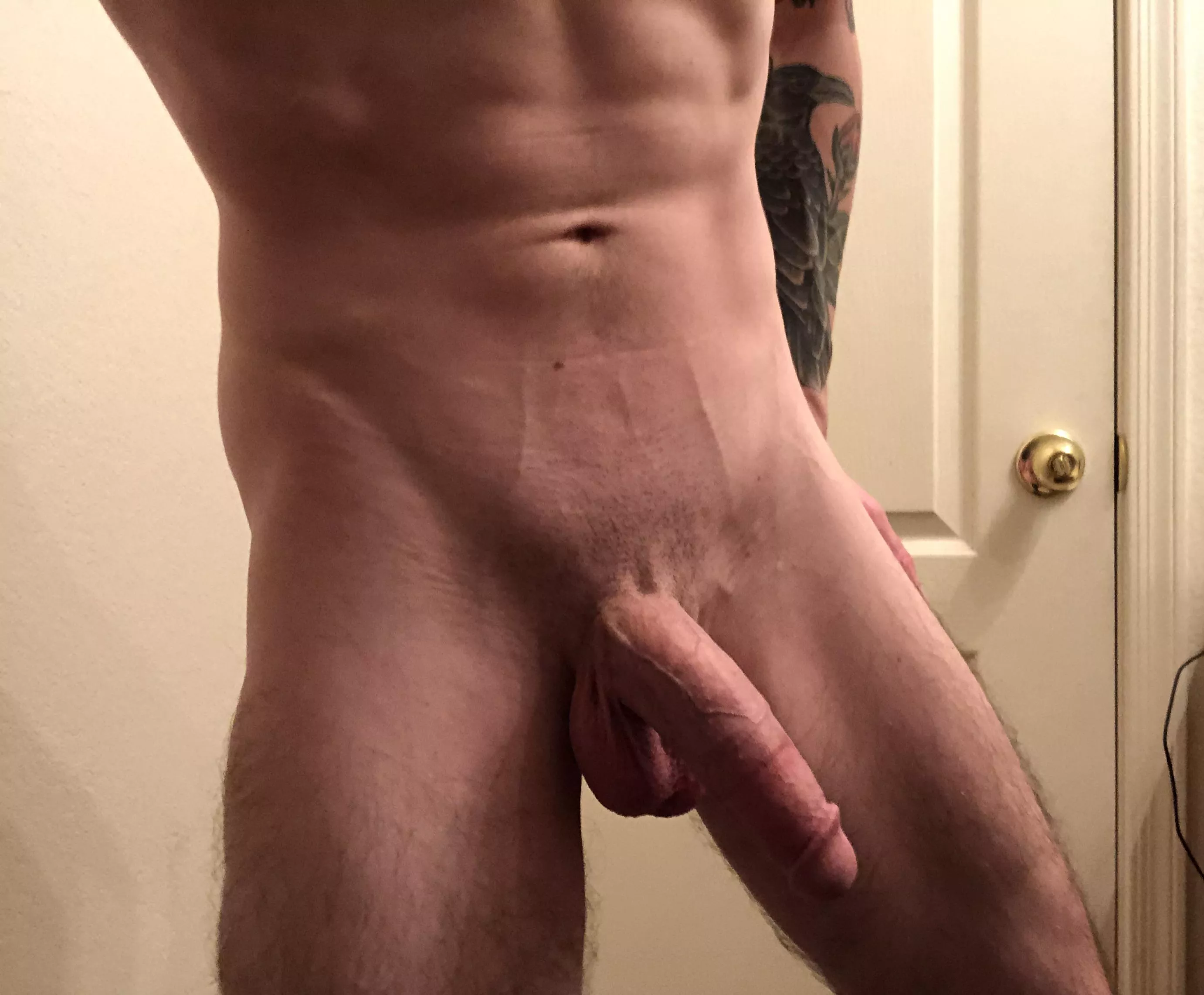 Hello posted by windypast