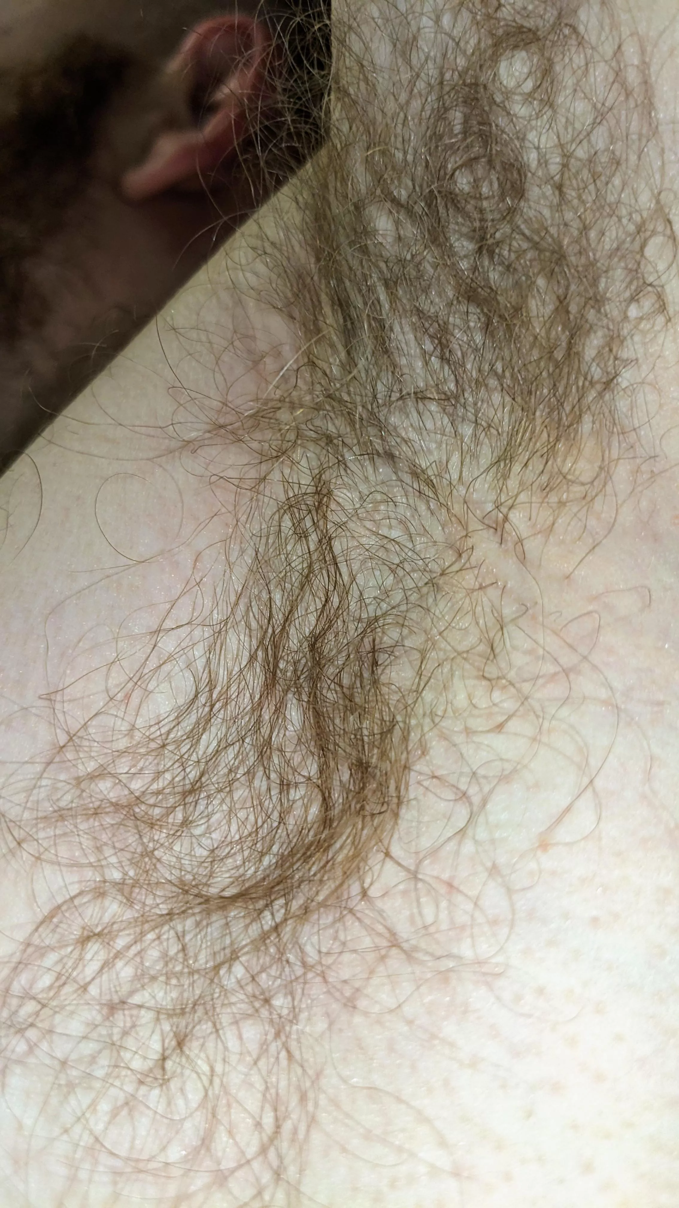 If you can't see each strand of hair, you're not close enough posted by responsive-banana