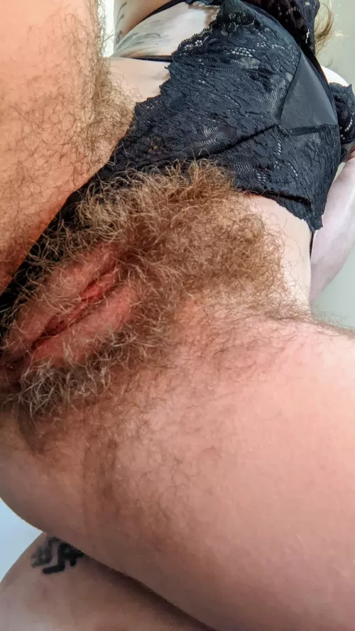 I'm gonna sit on your face.... by greenandorangeplaid