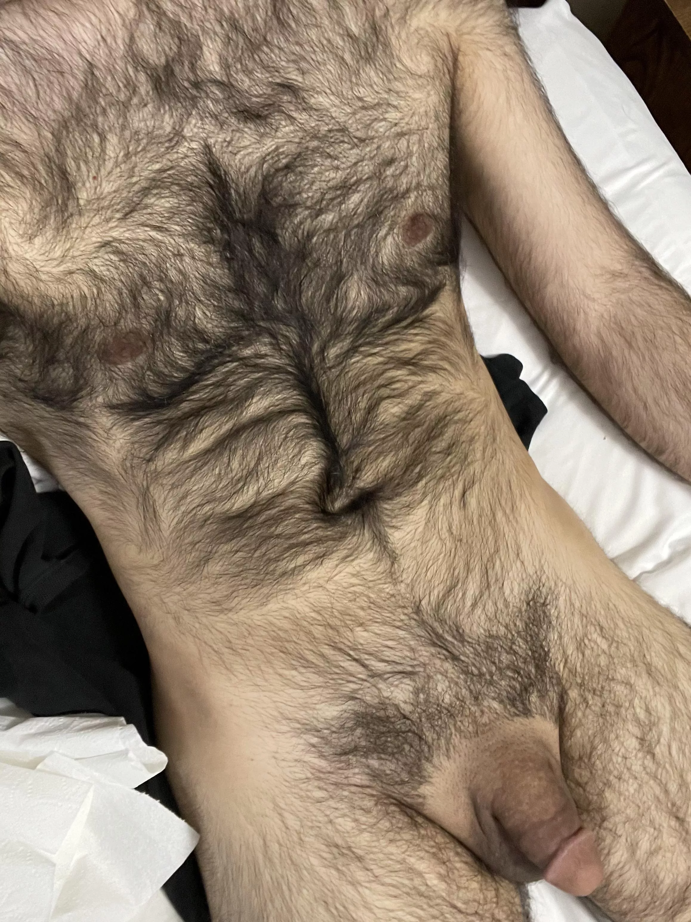 Lazy Sunday posted by zzztimes