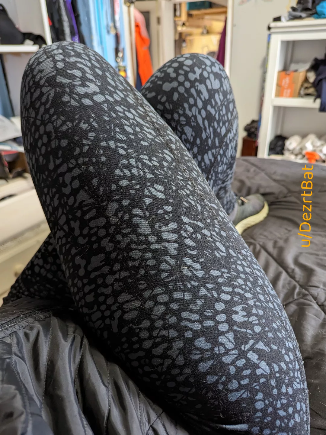 Lounging and reading posted by DezrtBat