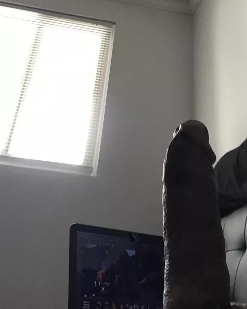 outside my window is dog area/BBQ pit, wwyd if u saw this thru my open blinds by Nacho_turn