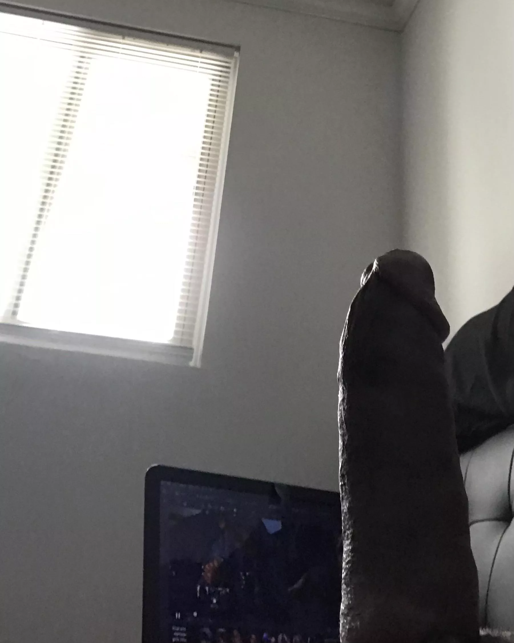 outside my window is dog area/BBQ pit, wwyd if u saw this thru my open blinds posted by Nacho_turn