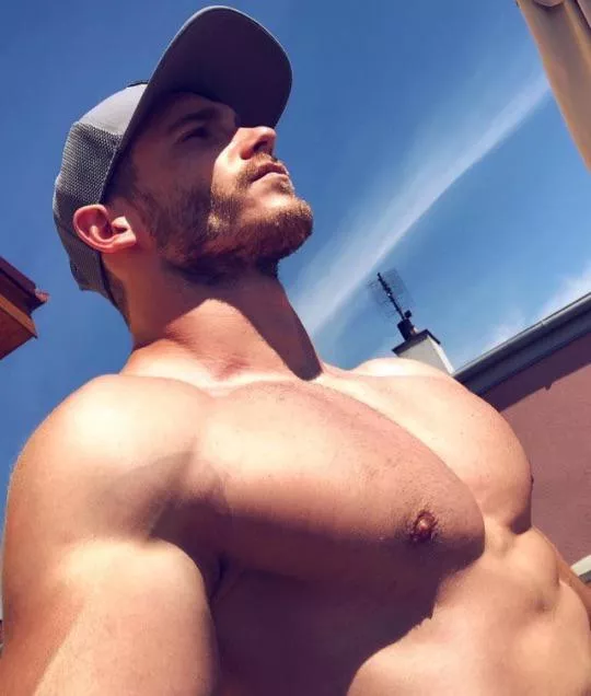 “Petr Hollesch” … posted by neilfromsydney2003