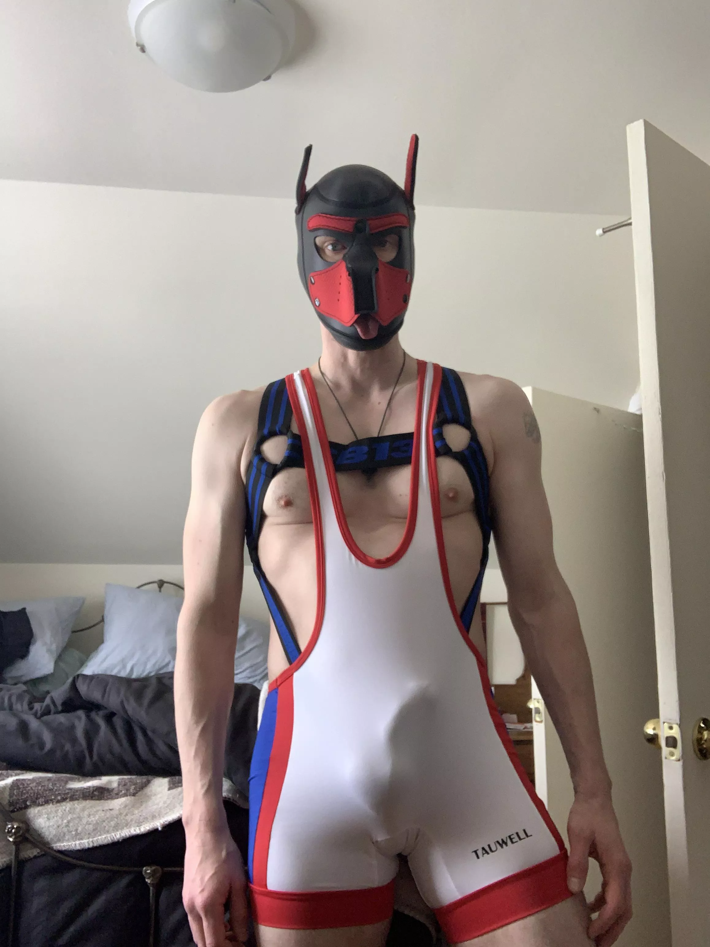Pup looking for other pups posted by Husoch167