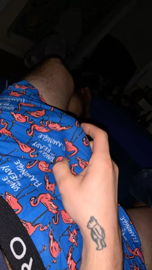 Seattle boxers, anyone wanna hang today and sag/pants each other? by One_Explanation1288