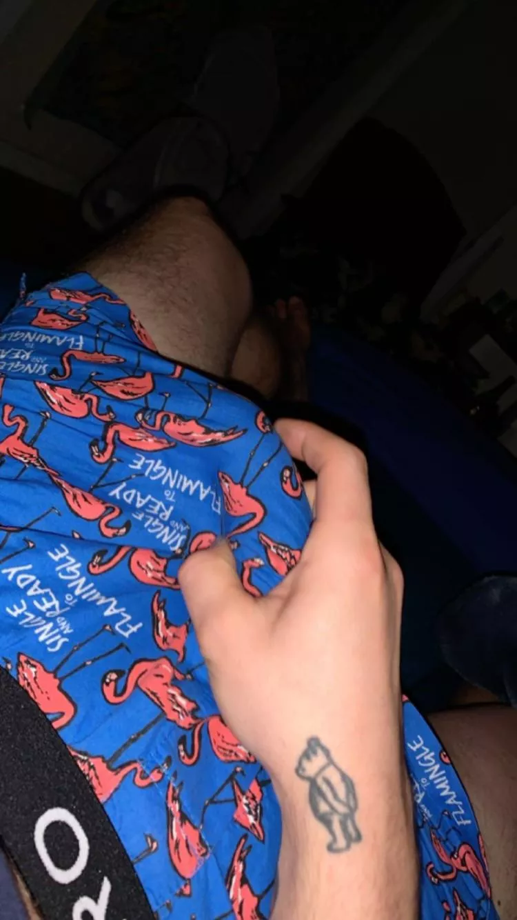 Seattle boxers, anyone wanna hang today and sag/pants each other? posted by One_Explanation1288