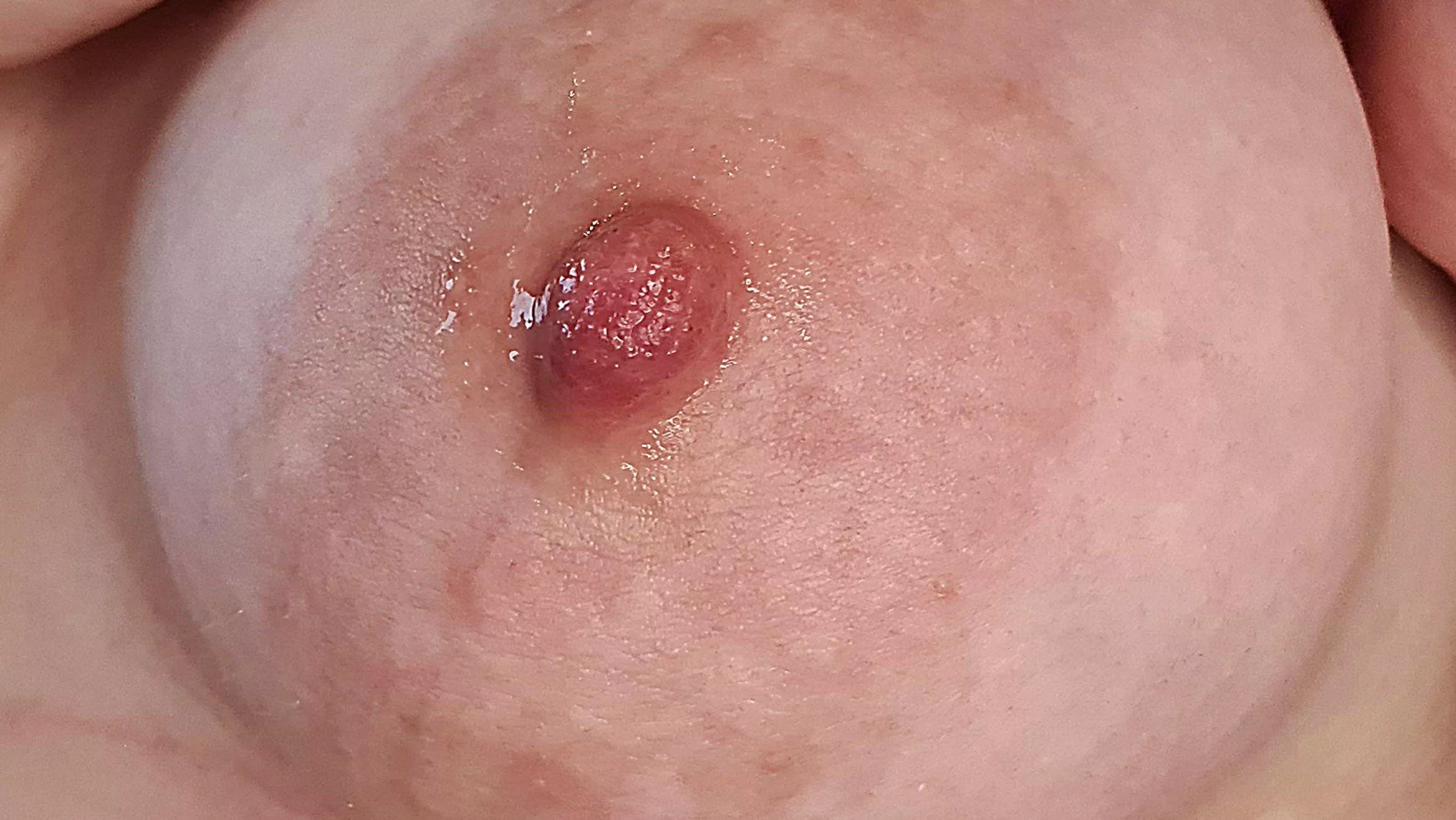 Suck on it posted by hornybee11