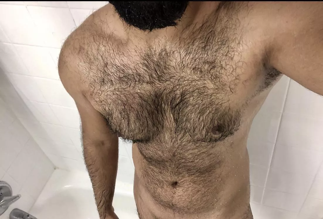 You like it fuzzy? posted by FAZJLU