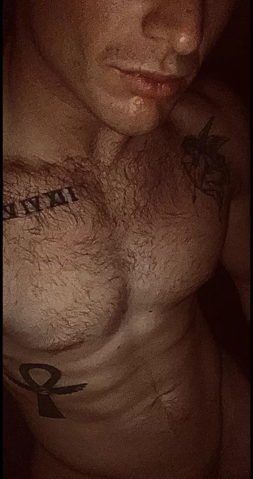 27M experienced bull for hotwife in Raleigh, NC. by 19IX5