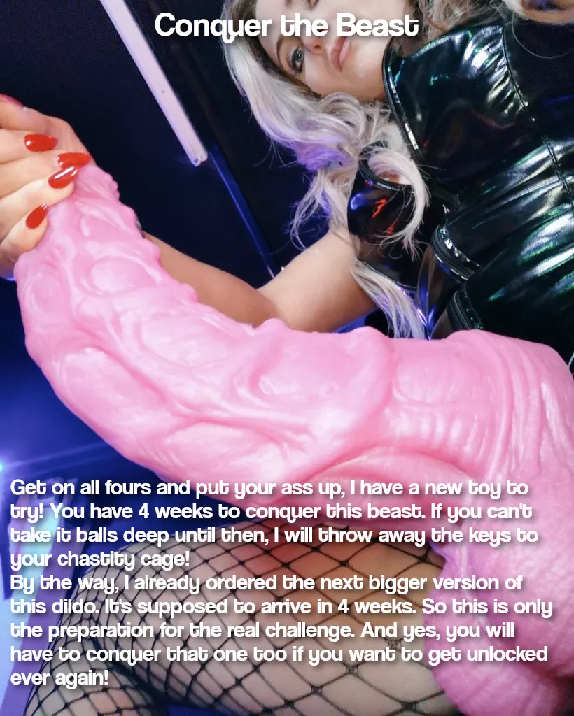 Conquer the Beast posted by chastity_kink