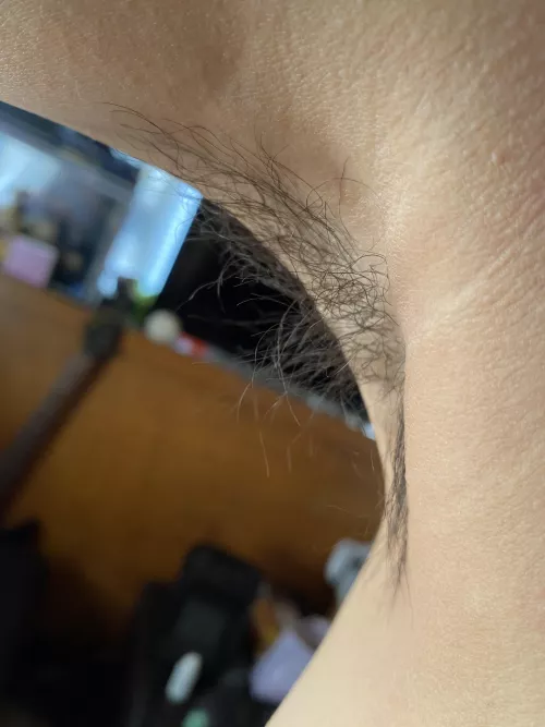 Cute hairy bits by sexretivy