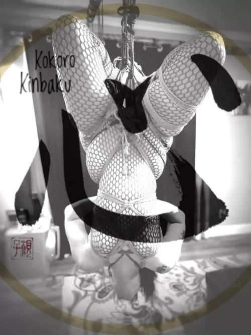 [F] R&P - Kokoro Kinbaku by Kokorokinbaku