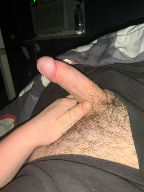 Here ya go by Mylastsummerride