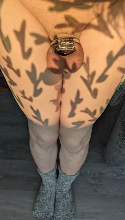 I feel so pretty locked up by oithatscool