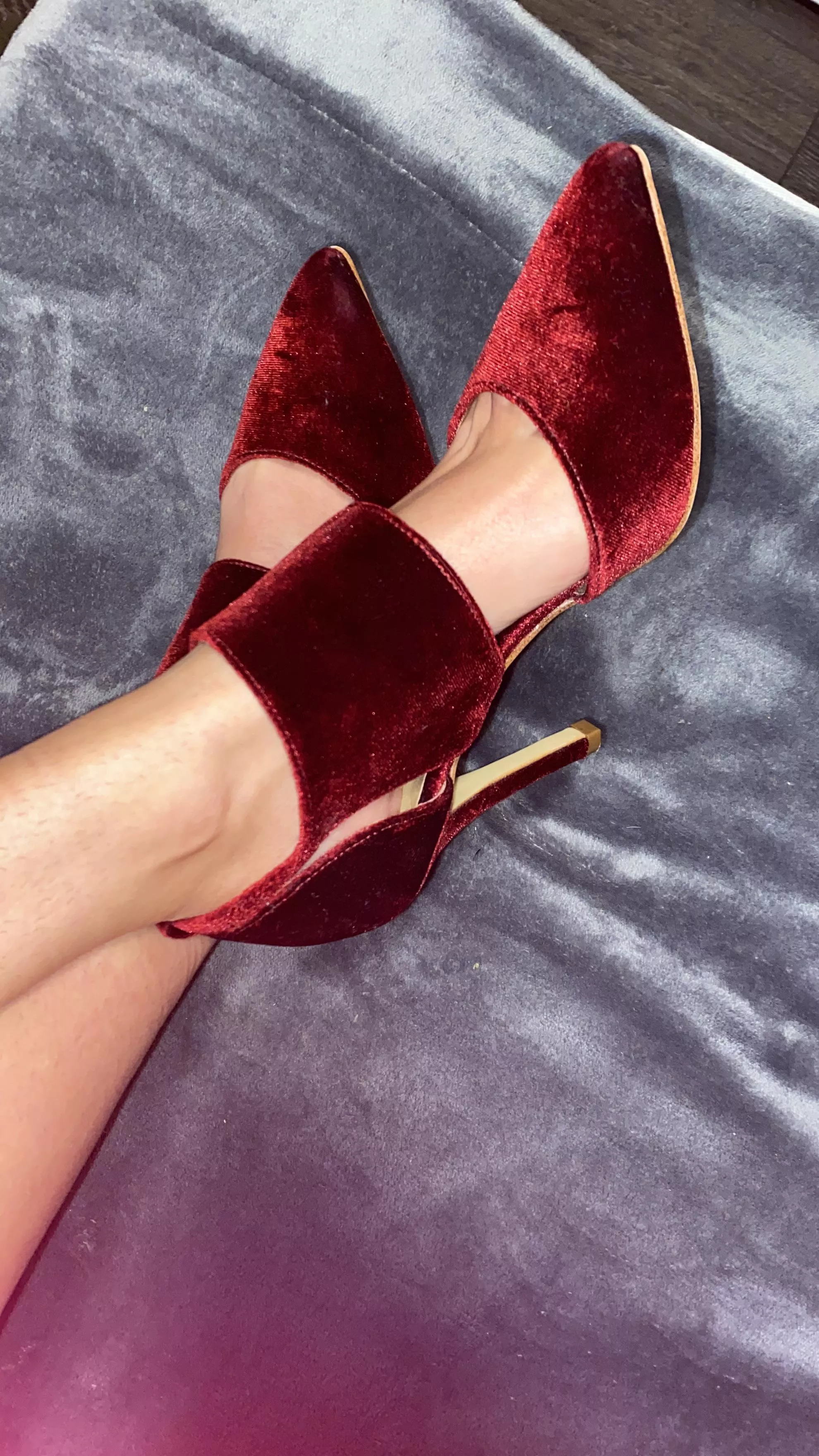 I’m in love 😻 posted by uktentoesofficial