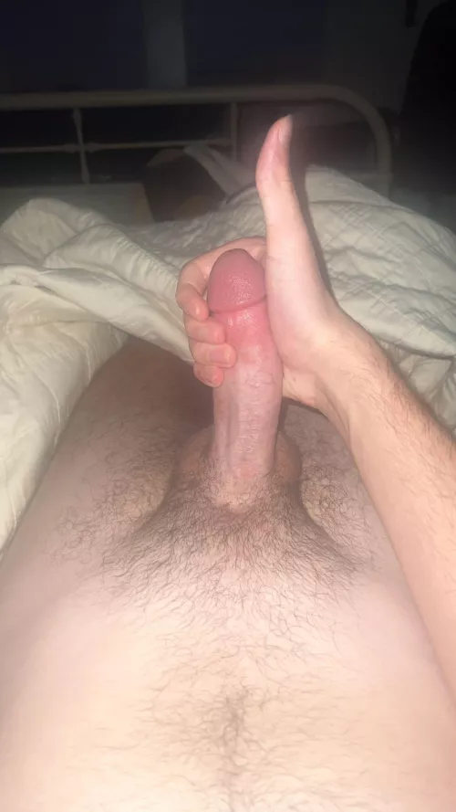Late night hard on😏 Anyone wanna play with my thick young (legal) cock 🍆 by hungprince6966