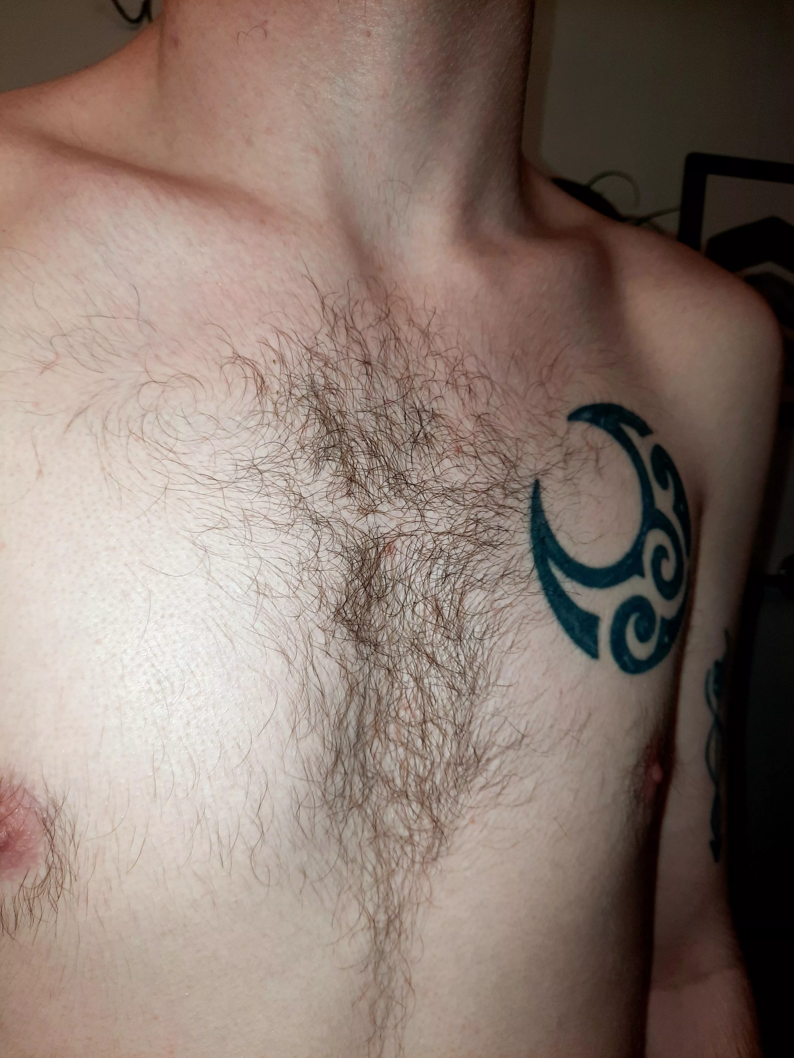 Not as much as others but still proud of the chest hair I do have posted by hairylover3
