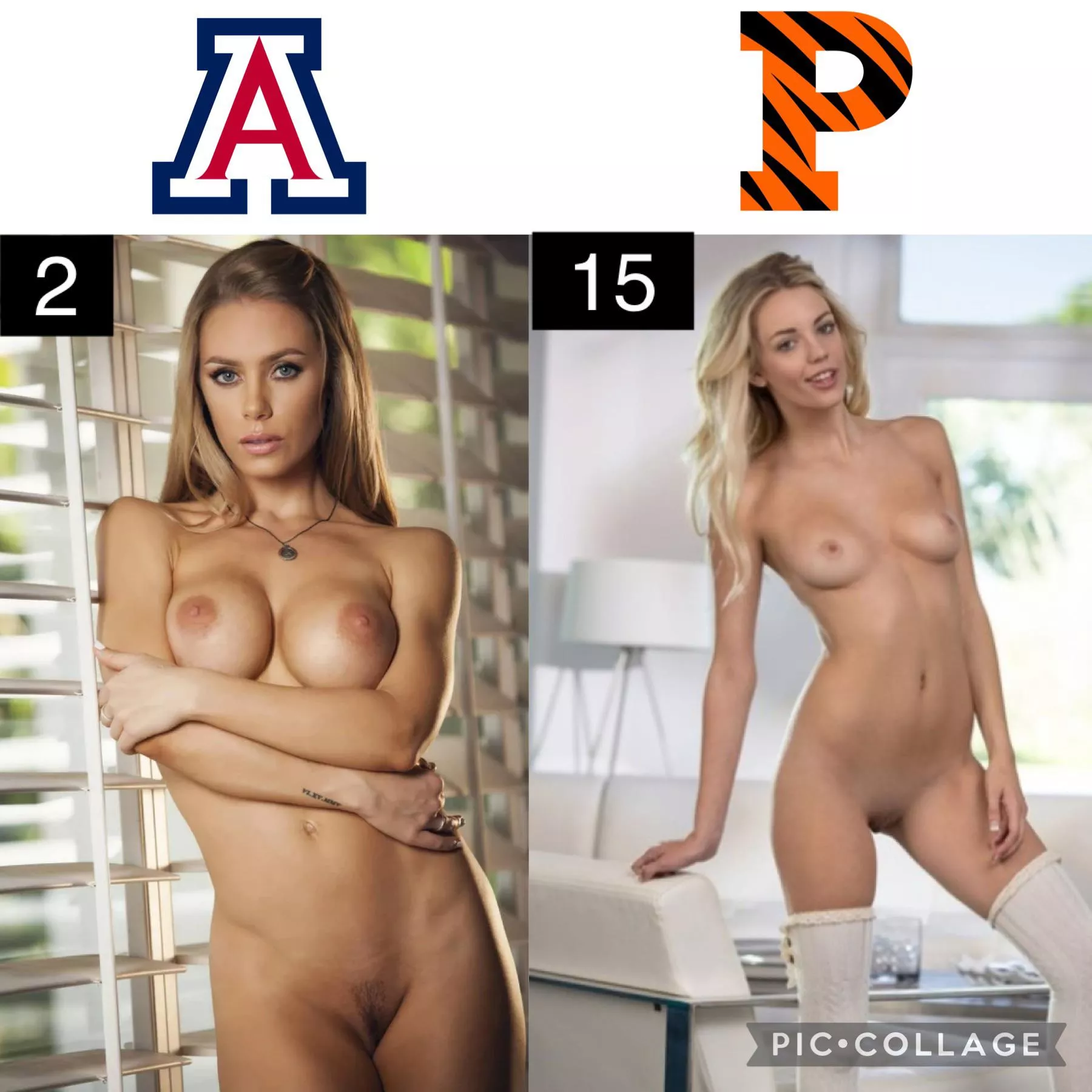 Pornstar March Madness: Round of 64 [Nicole Aniston] vs [Blake Eden] posted by Suspicious-Eagle9537