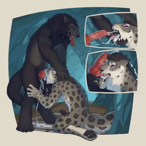 (snowskau) by Miserable_Physics_98