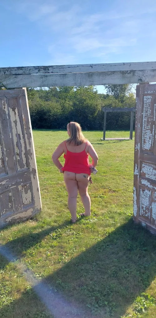 The Wife by Nervous_Room_9266