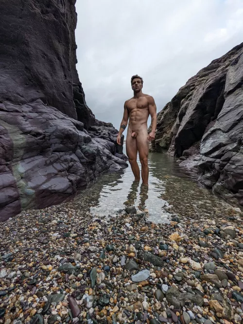 True Alpha by Ok-Pass-8743