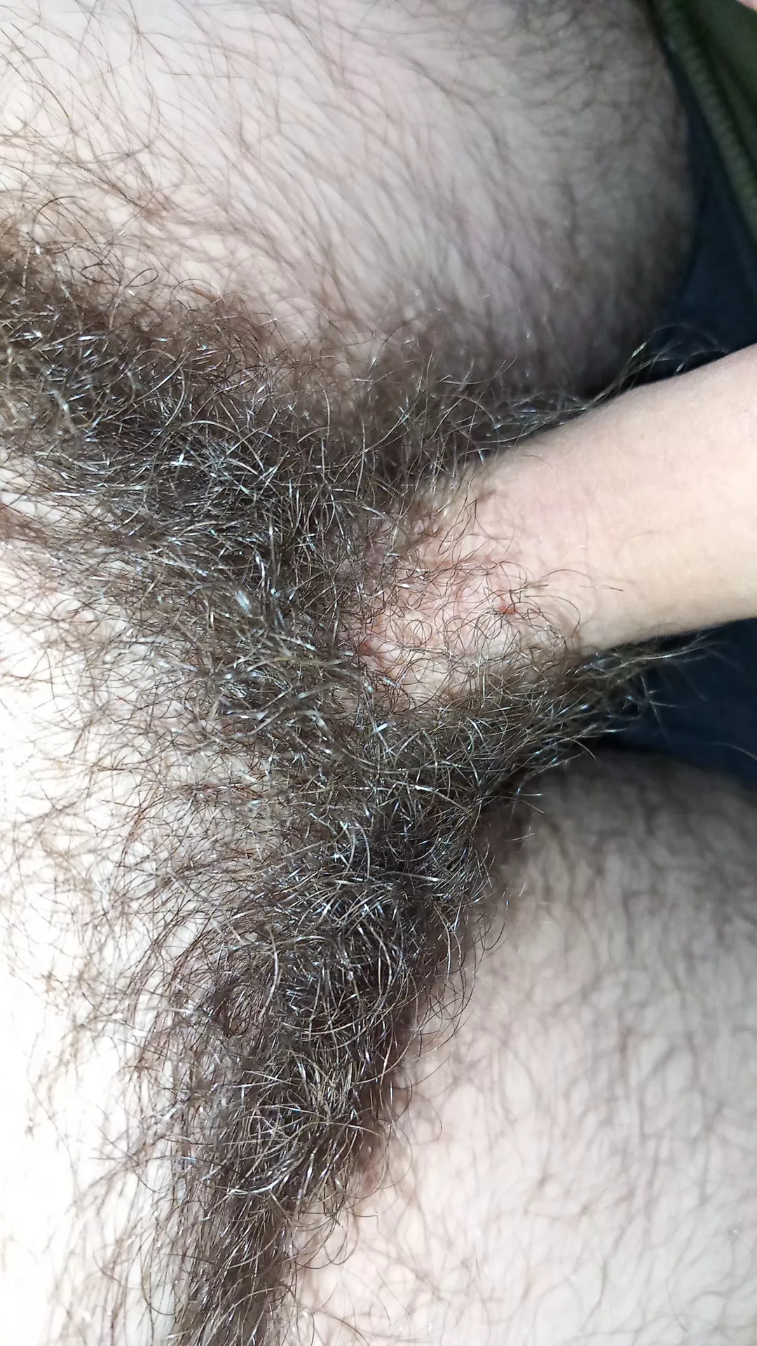 What you think about my Bush? posted by hairyHotPre