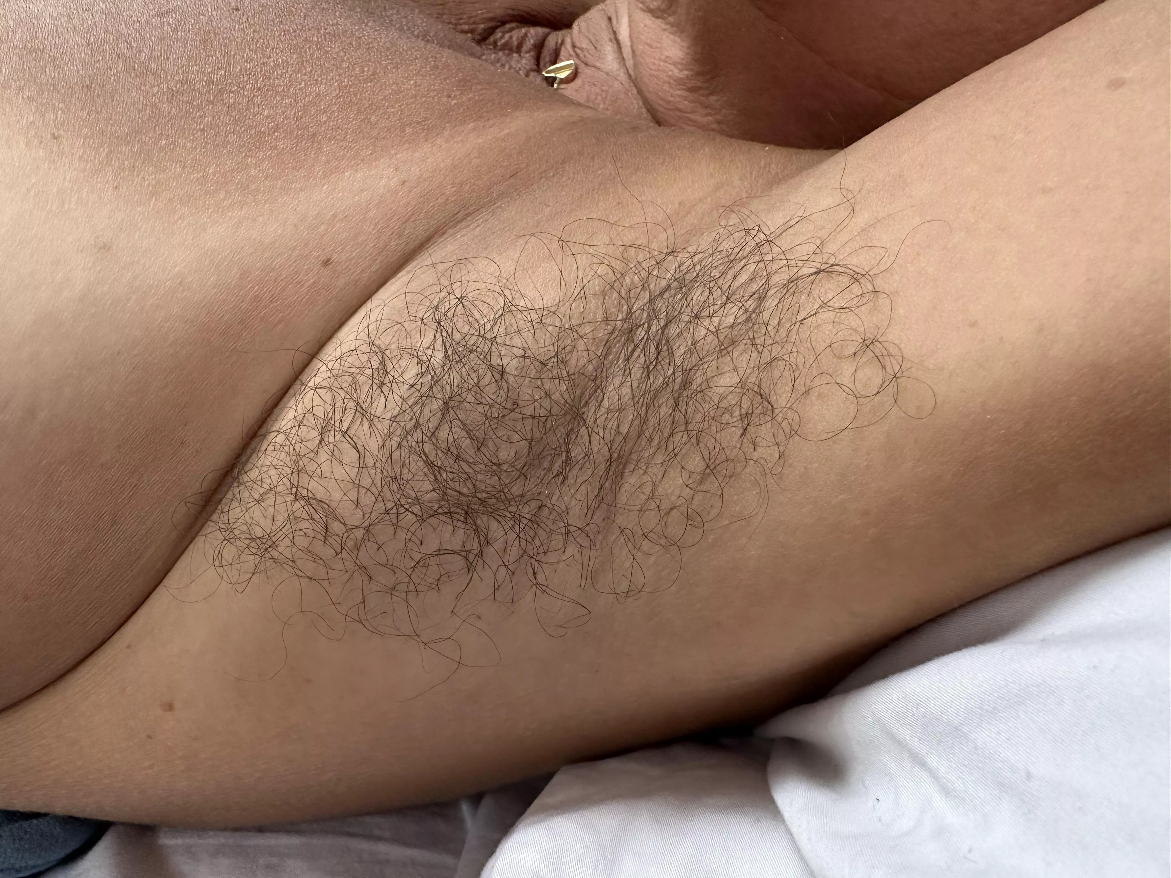 3-4 months to grow this. Can’t wait to see it in full bloom. posted by Sensual_Romp