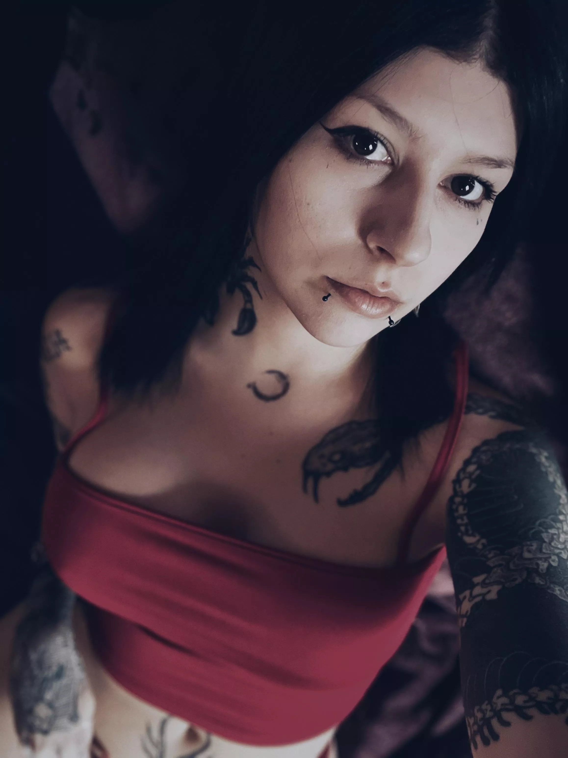 Can’t wait for the next concert! I am going to see igorrr live. You? posted by JoanneWinterss