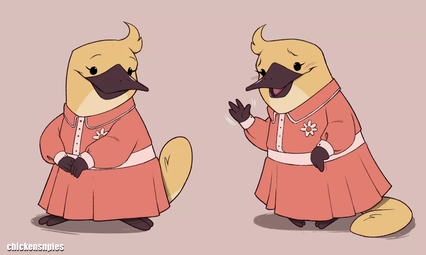 Cute lil platypus lady! posted by chimigni