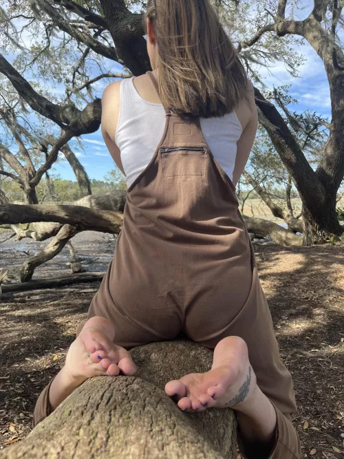 Ever Want To Be A Tree? by Lotusgirl00