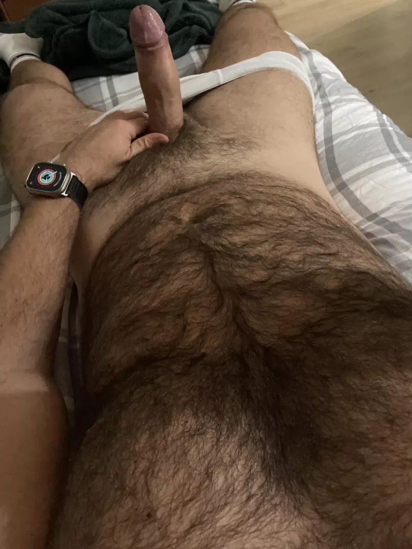 Feeling horned after chert workout - furry bear here - good evening friends posted by miami_111_handsome32